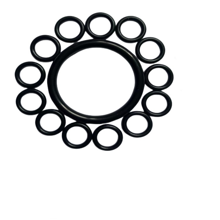 FKM NBR O-Ring / uszczelki w różnych kolorach do zastosowań przemysłowych